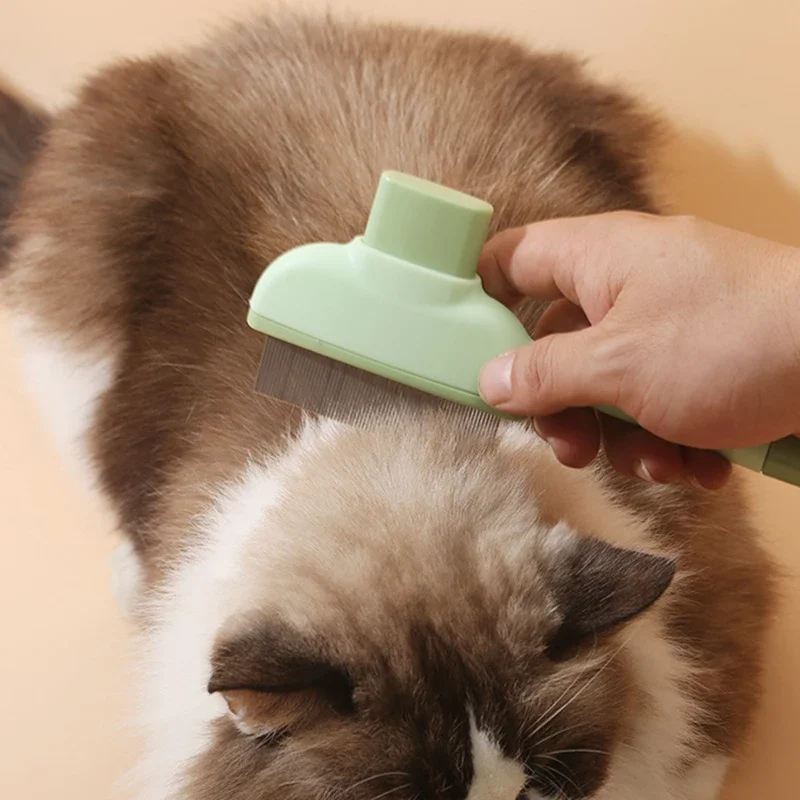 Pet Cat Comb Cat and Dog Hair  - Makeup Beauty Ro review and price